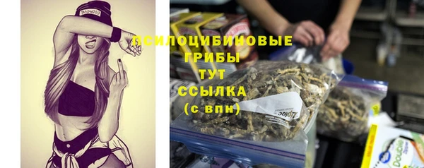 молекула духа Верхний Тагил