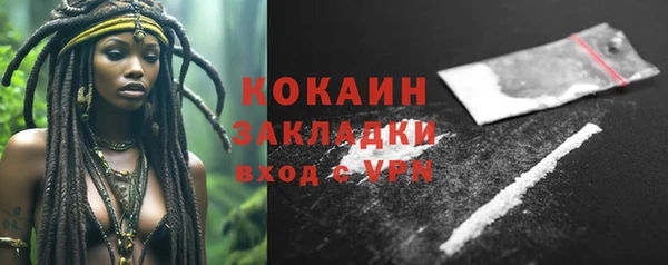 сатива Верея