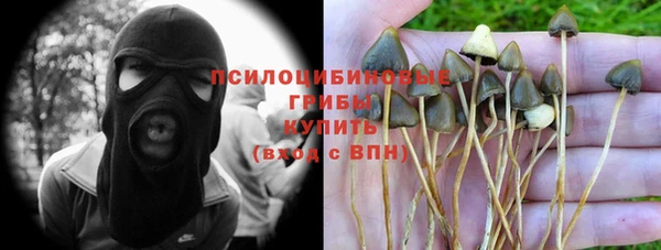 сатива Верея