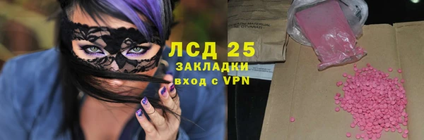 сатива Верея