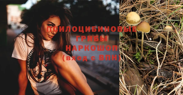 сатива Верея