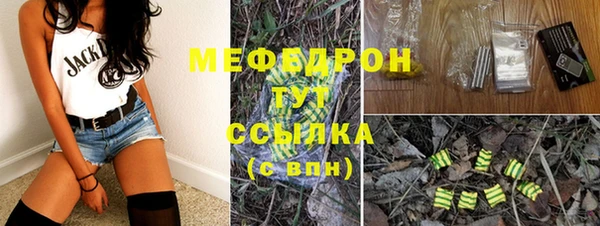 сатива Верея