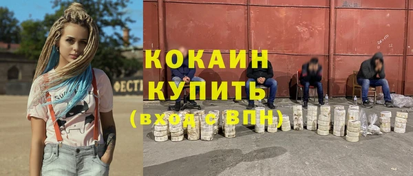 сатива Верея