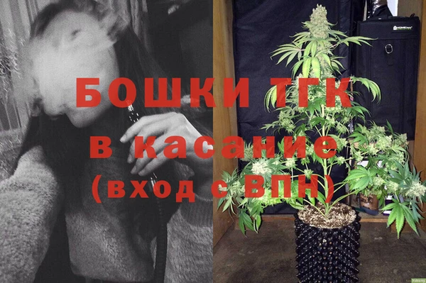 молекула духа Верхний Тагил