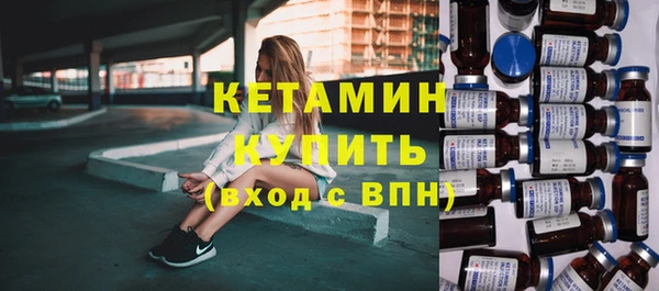 сатива Верея