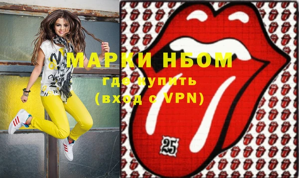 сатива Верея