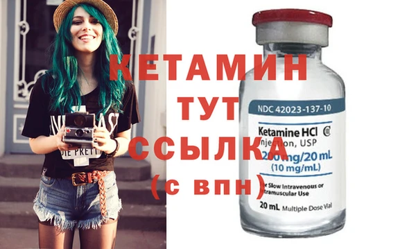 сатива Верея